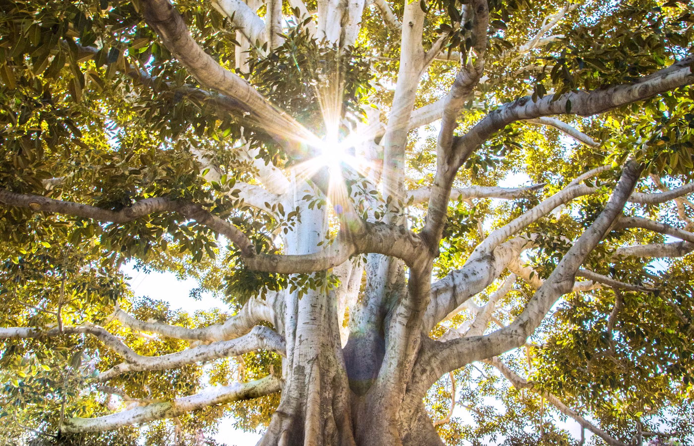 Антистресс практики онлайн в Москва